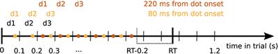 Representation of Perceptual Evidence in the Human Brain Assessed by Fast, Within-Trial Dynamic Stimuli